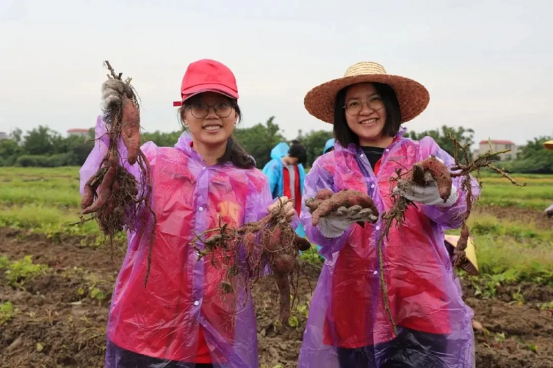 黨員服務(wù)邊民樂(lè)在其中.png